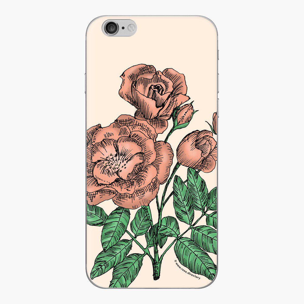 cupped semi-double apricot rose print on iphone skin