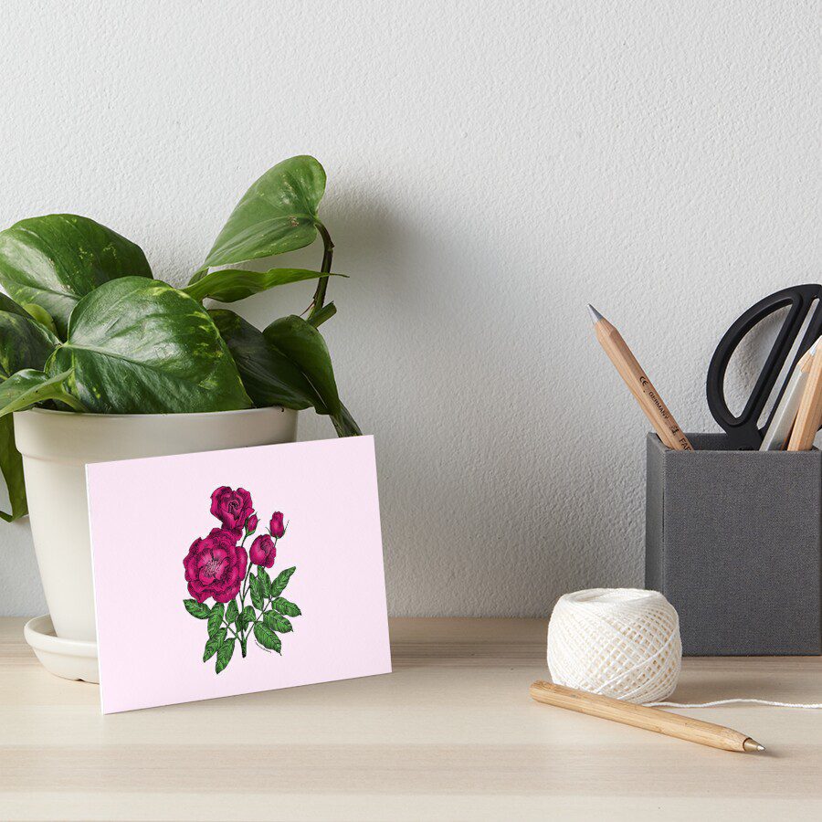 cupped semi-double deep pink rose print on Art Board Print