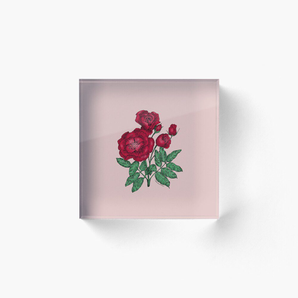 cupped semi-double dark red rose print on acrylic block