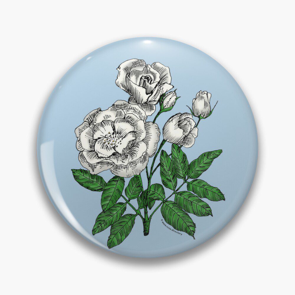 cupped semi-double white rose print on pin