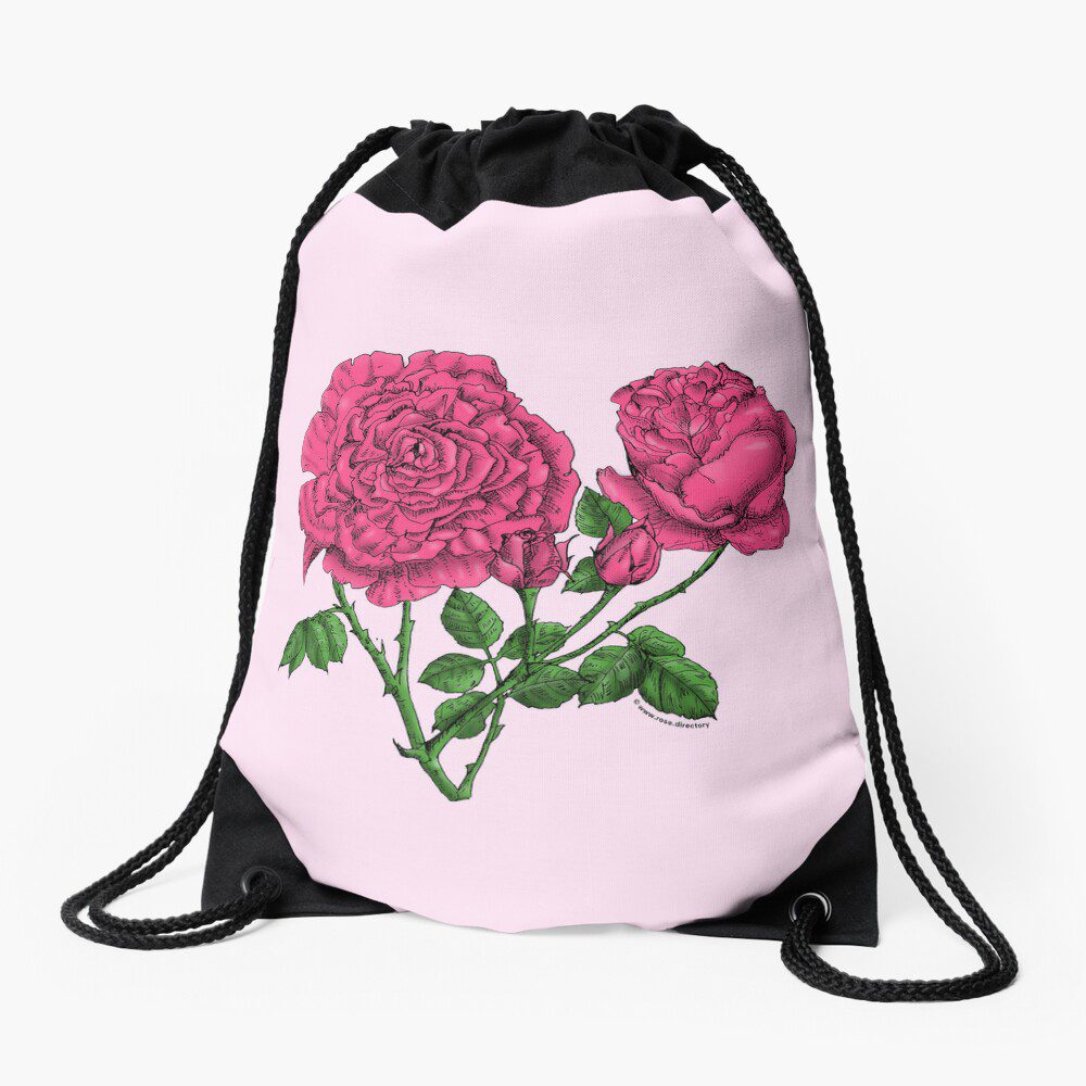 cupped very full mid pink rose print on drawstring bag