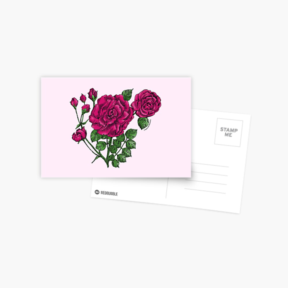 flat double deep pink rose print on postcard