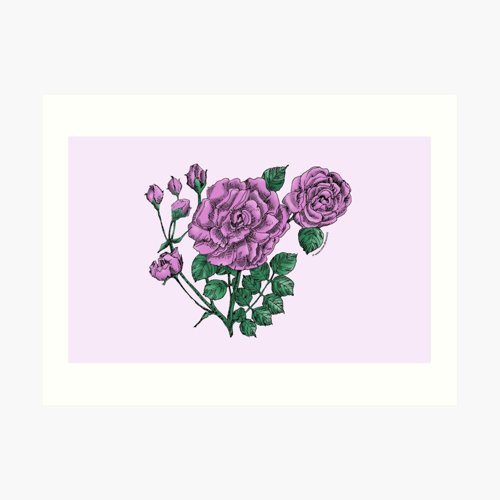 flat double purple rose print on art print