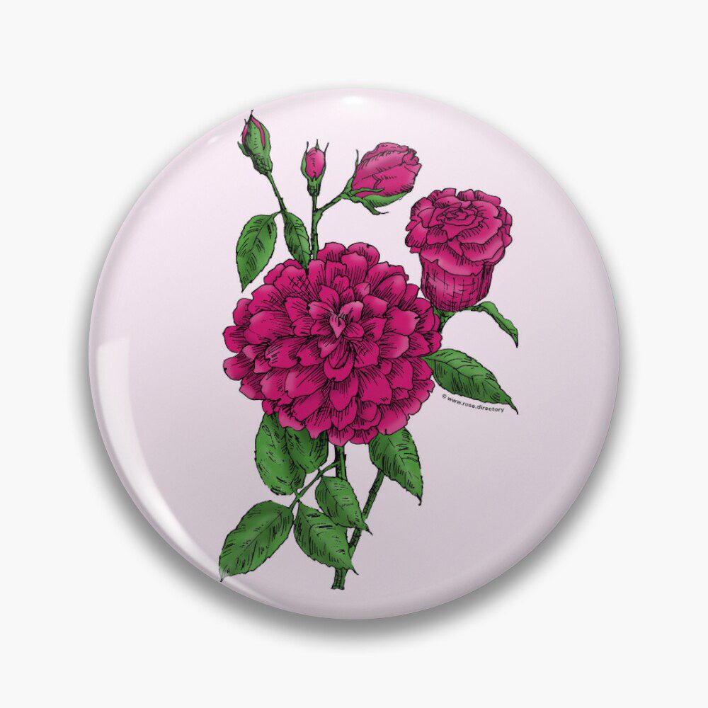 flat full deep pink rose print on pin