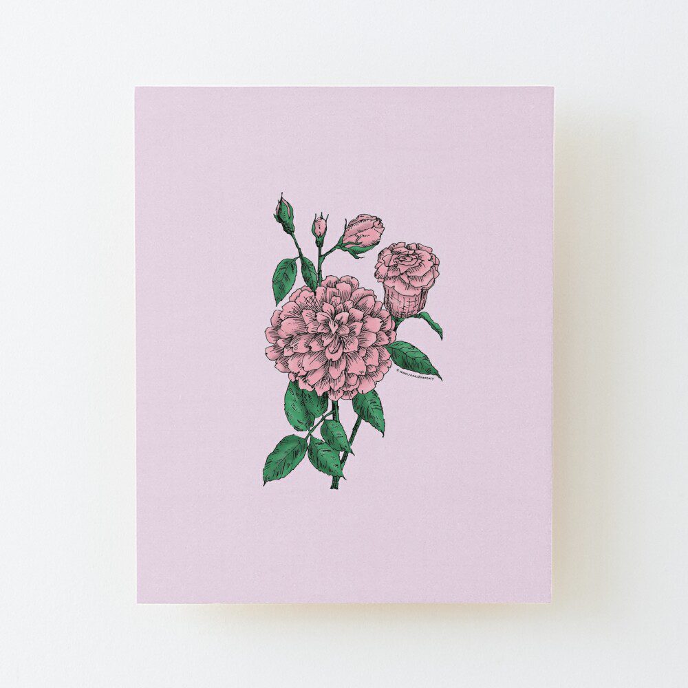 flat full light pink rose print on wood mounted print