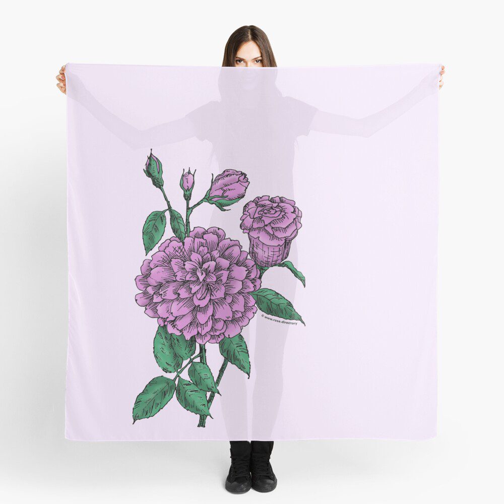 flat full purple rose print on scarf