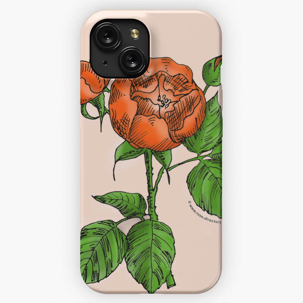 globular semi-double orange rose print on iPhone snap case