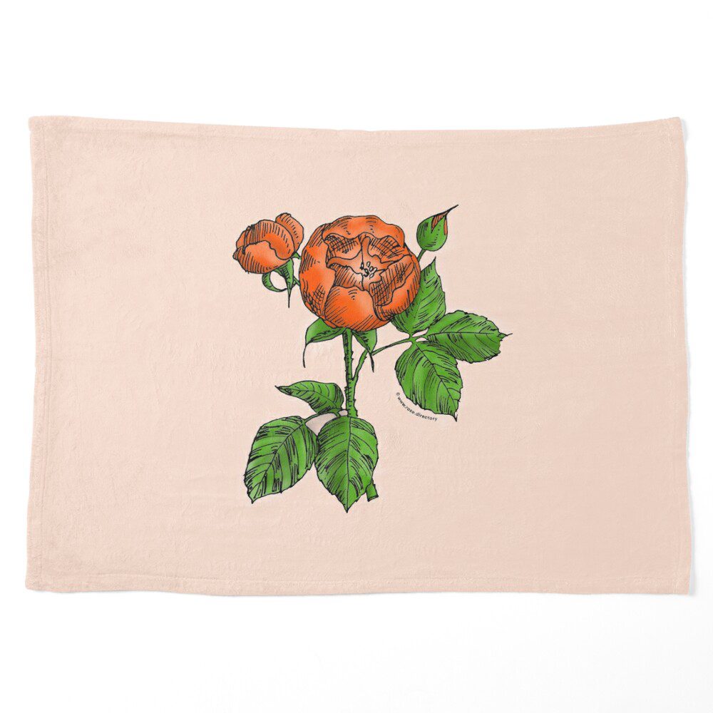 globular semi-double orange rose print on pet blanket
