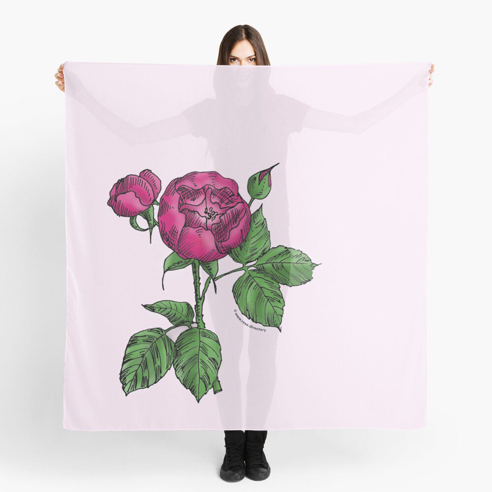 globular semi-double deep pink rose print on scarf