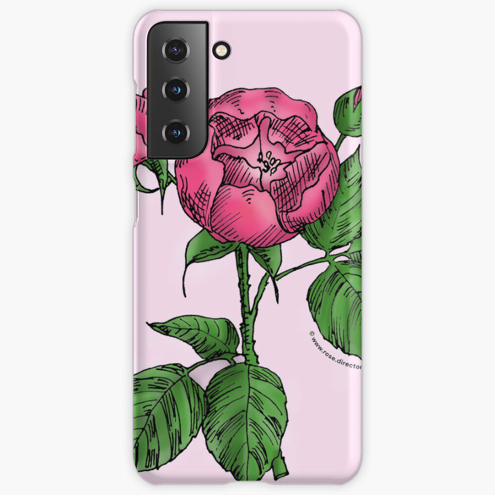 globular semi-double mid pink rose print on Samsung Galaxy snap case