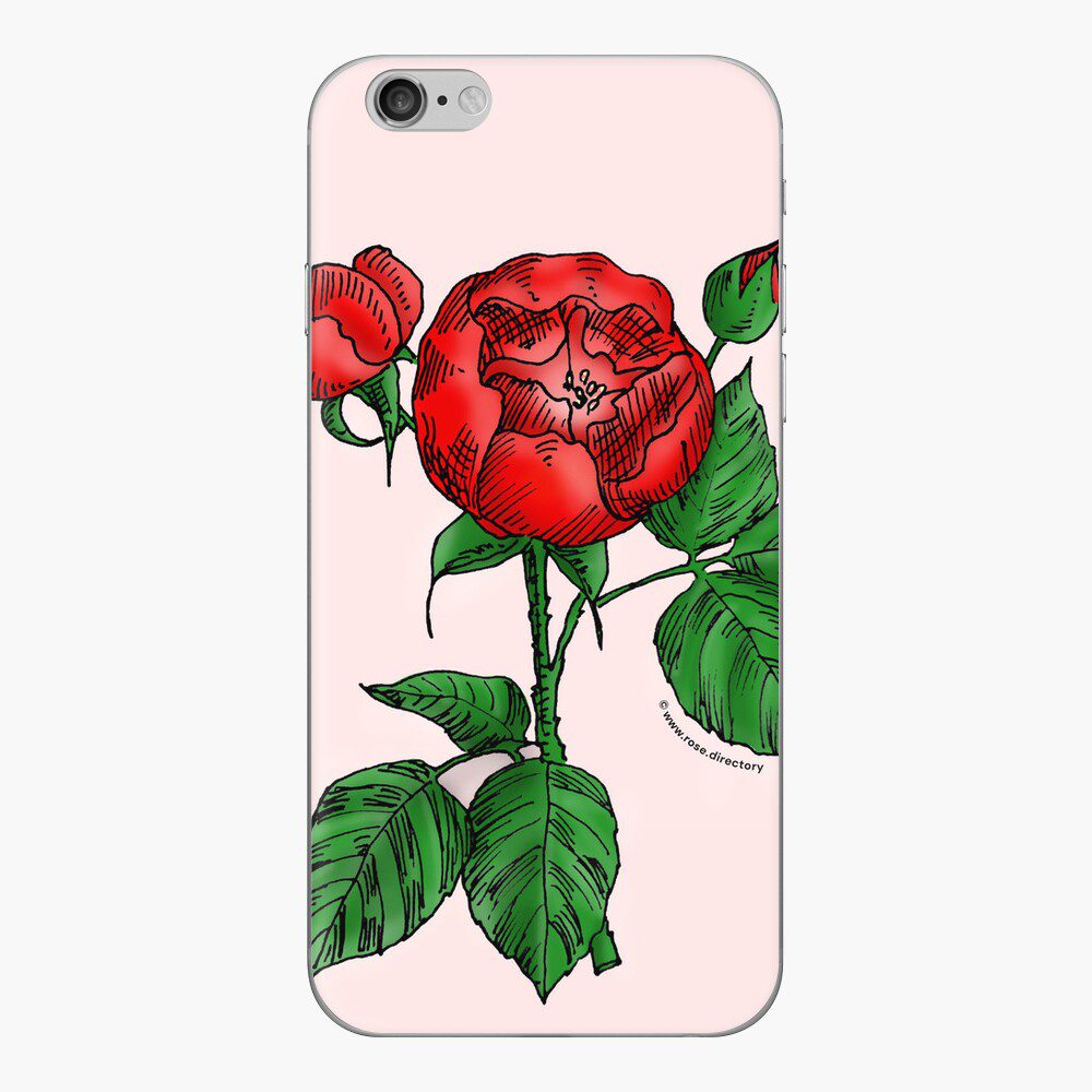 globular semi-double bright red rose print on iPhone skin