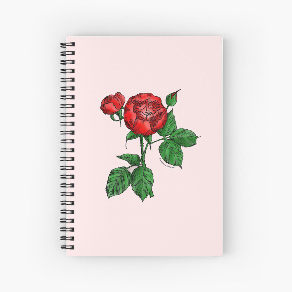 globular semi-double bright red rose print on spiral notebook