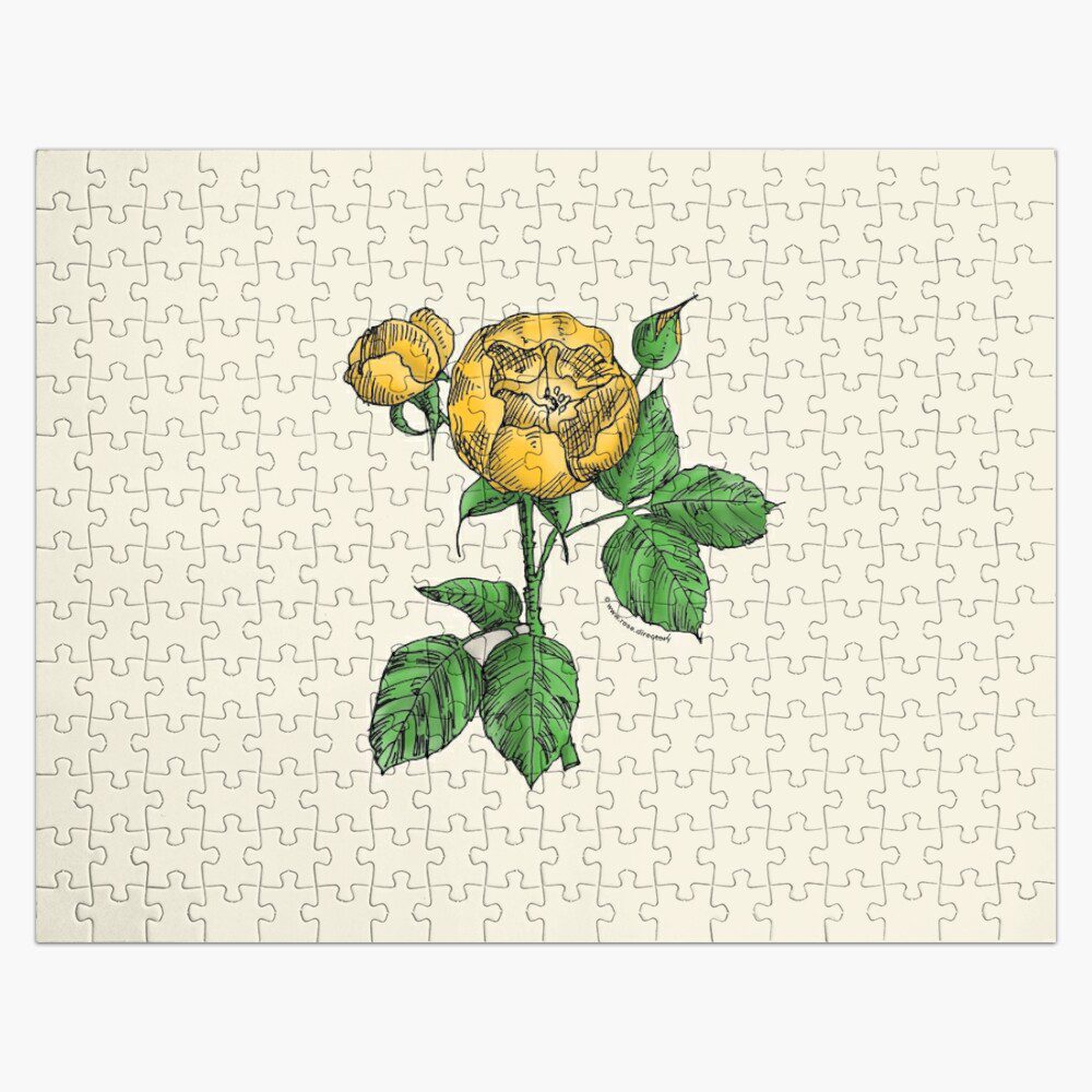 globular semi-double yellow rose print on jigsaw puzzle