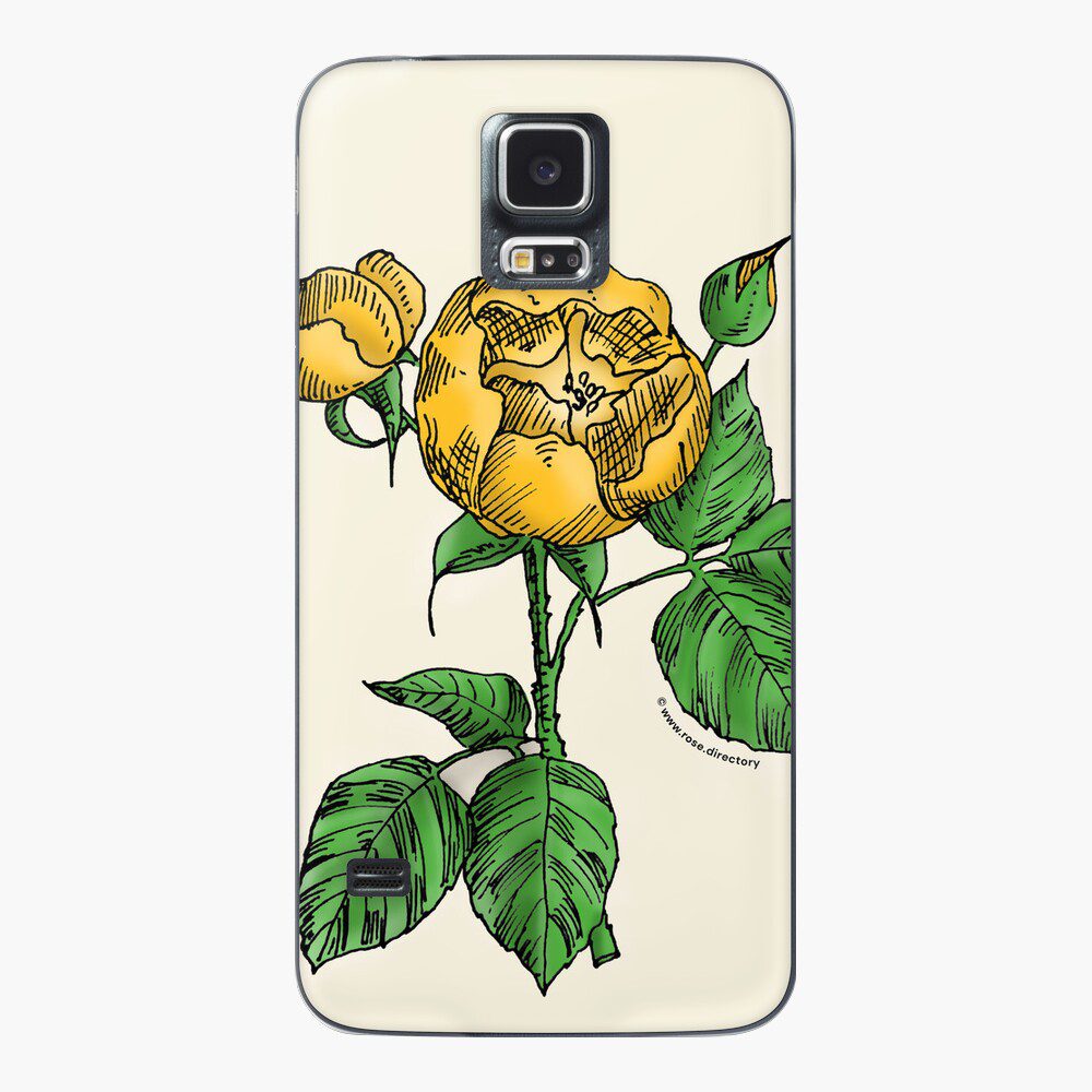 globular semi-double yellow rose print on Samsung Galaxy skin