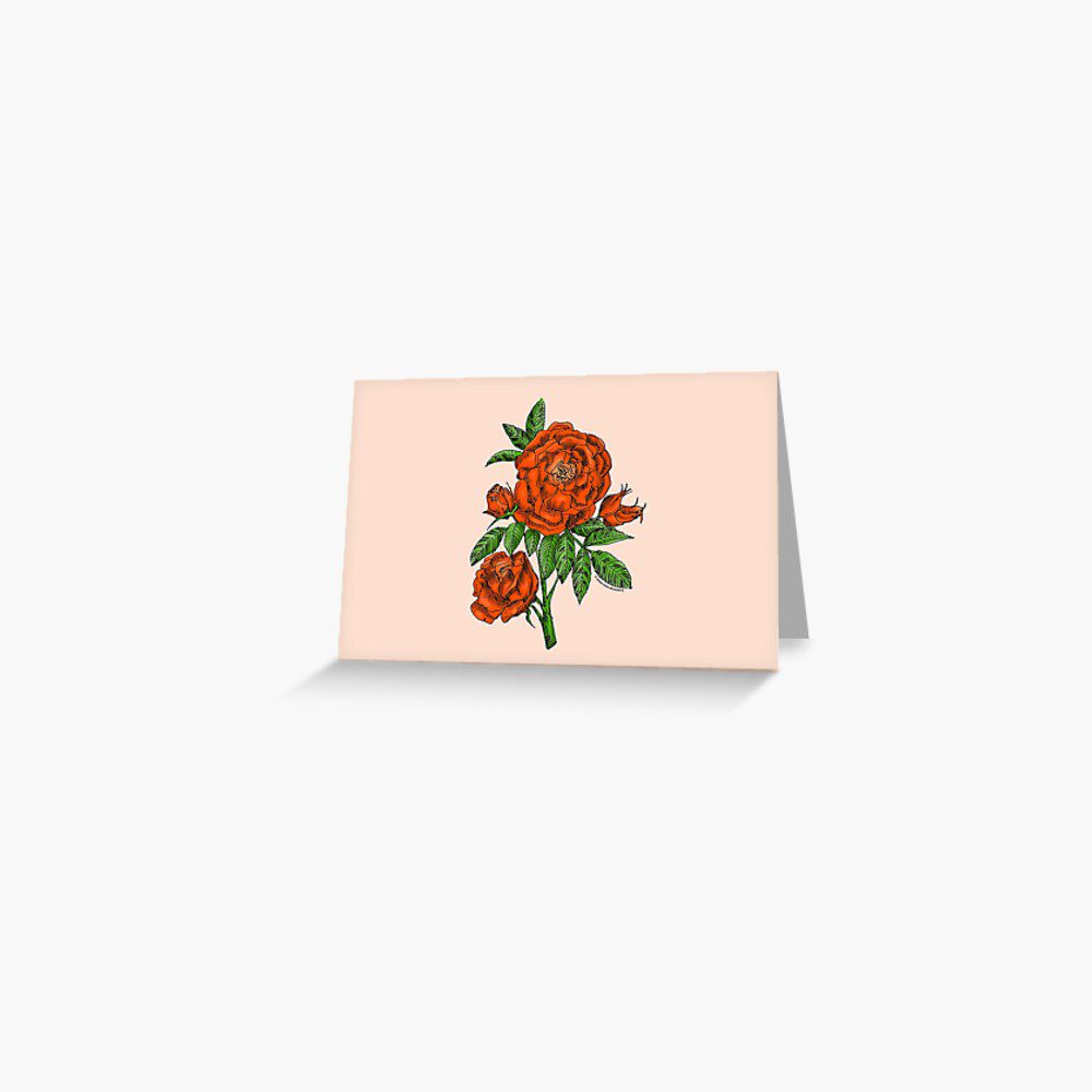 globular double orange rose print on greeting card