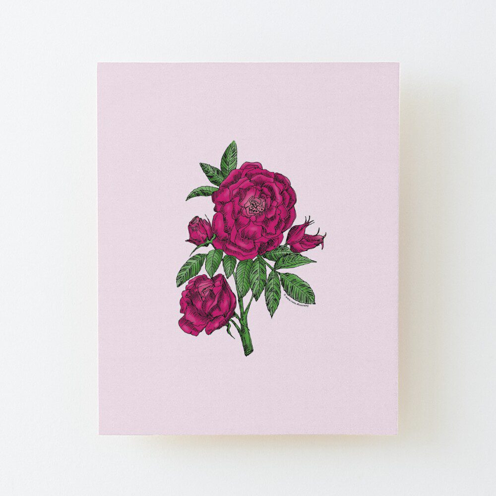 globular double deep pink rose print on wood mounted print