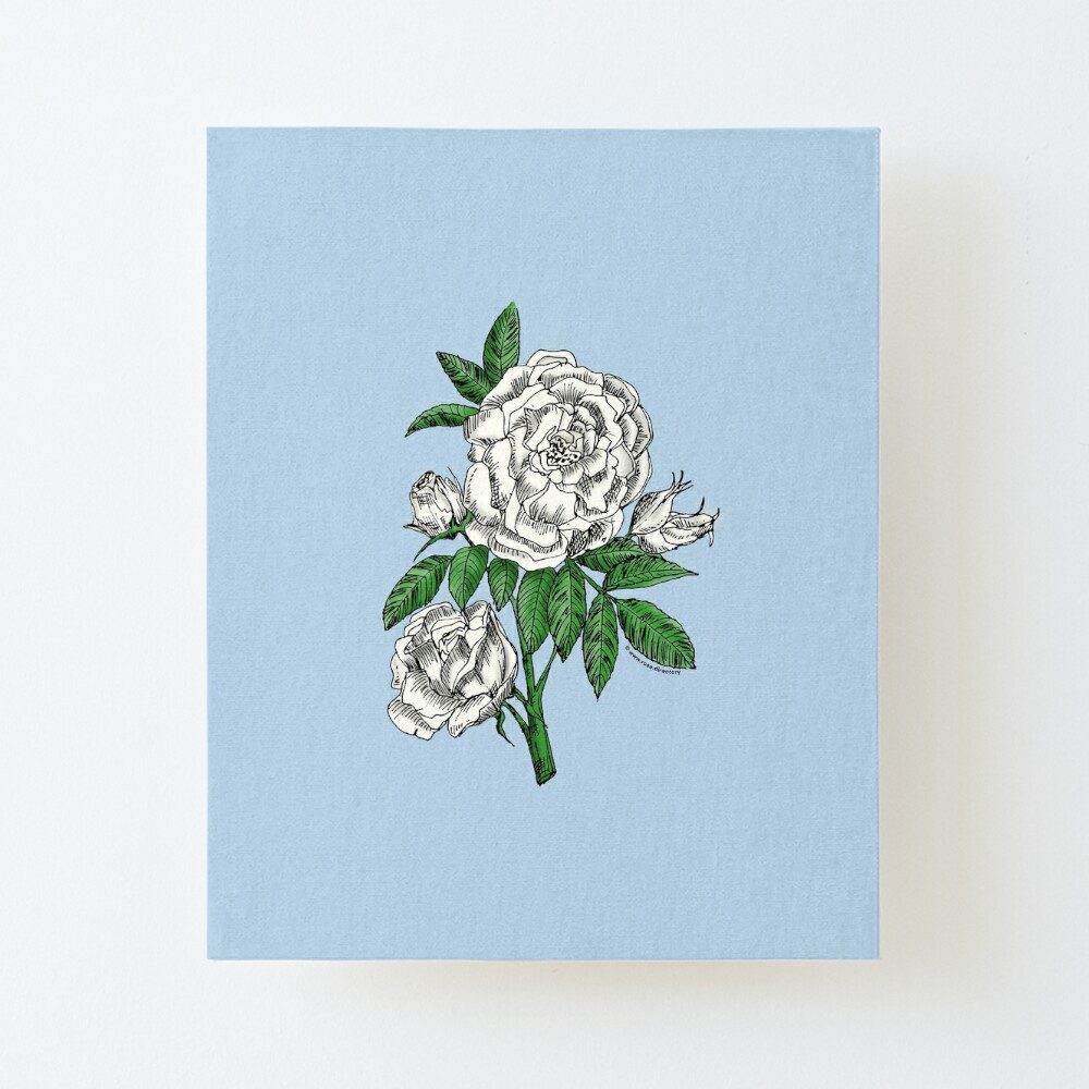 globular double white rose print on canvas mounted print