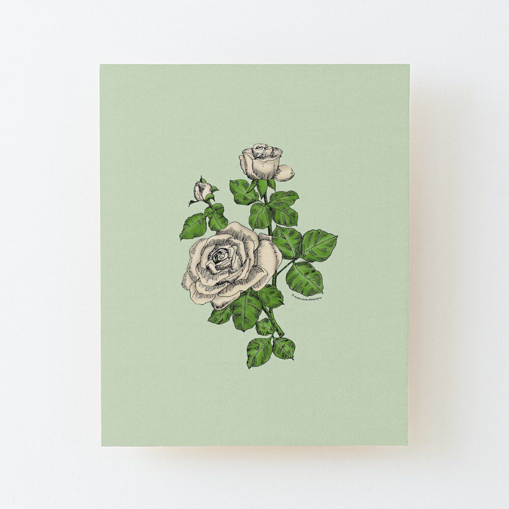 high-centered double cream rose print on wood mounted print