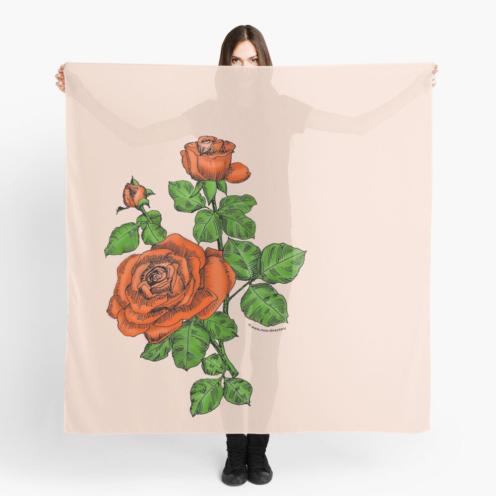 high-centered double orange rose print on scarf