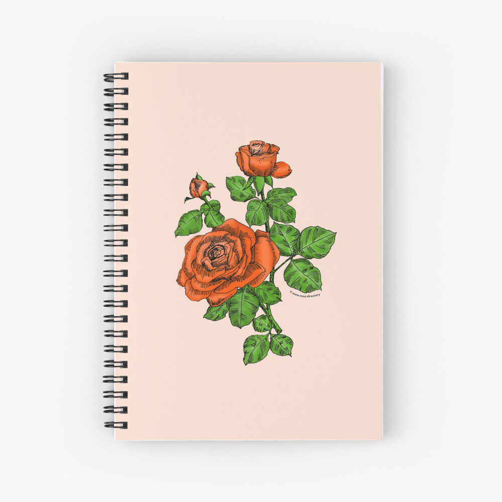 high-centered double orange rose print on spiral notebook