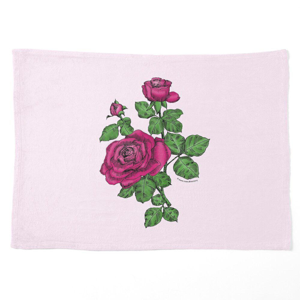 high-centered double deep pink rose print on pet blanket