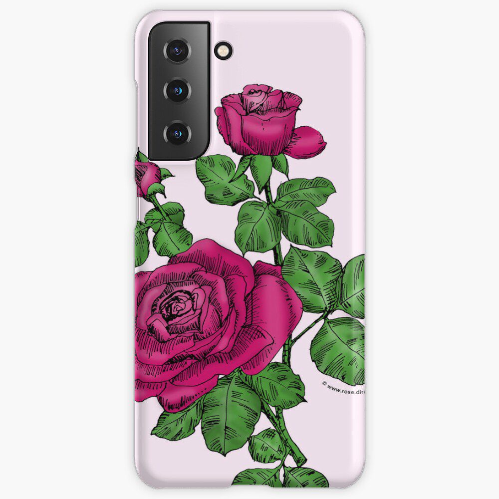high-centered double deep pink rose print on Samsung Galaxy snap case