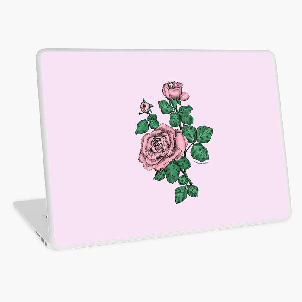 high-centered double light pink rose print on laptop skin