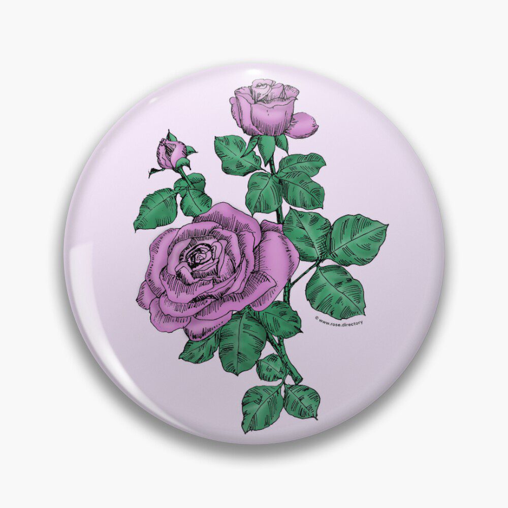high-centered double purple rose print on pin