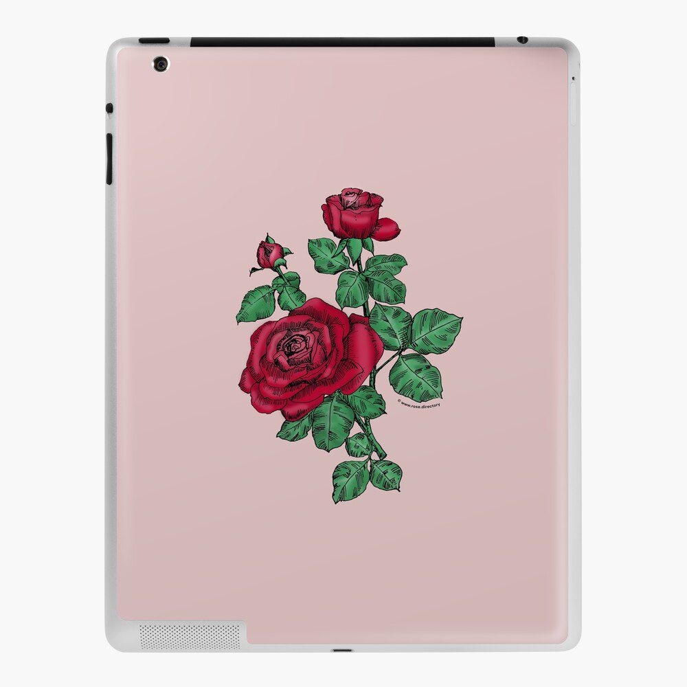 high-centered double dark red rose print on iPad skin