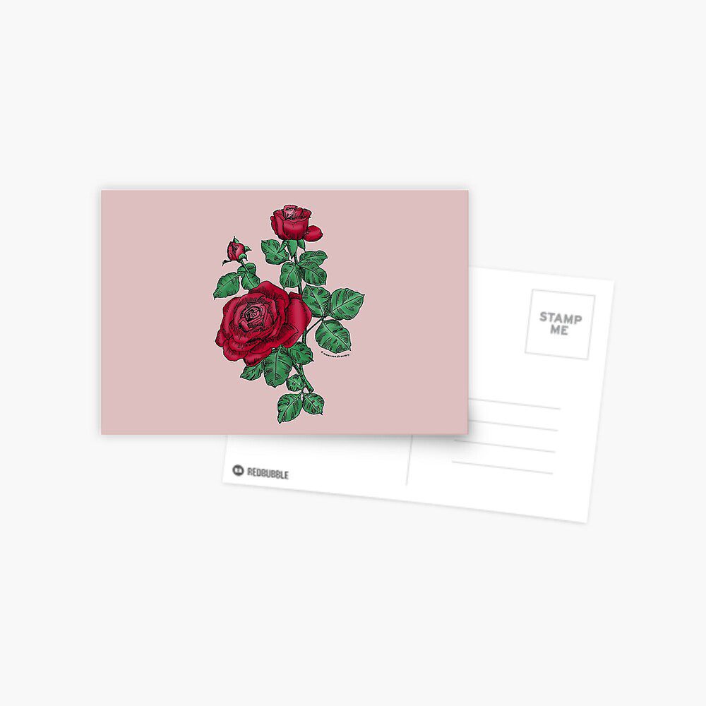 high-centered double dark red rose print on postcard