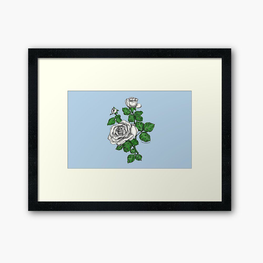 high-centered double white rose print on framed art print