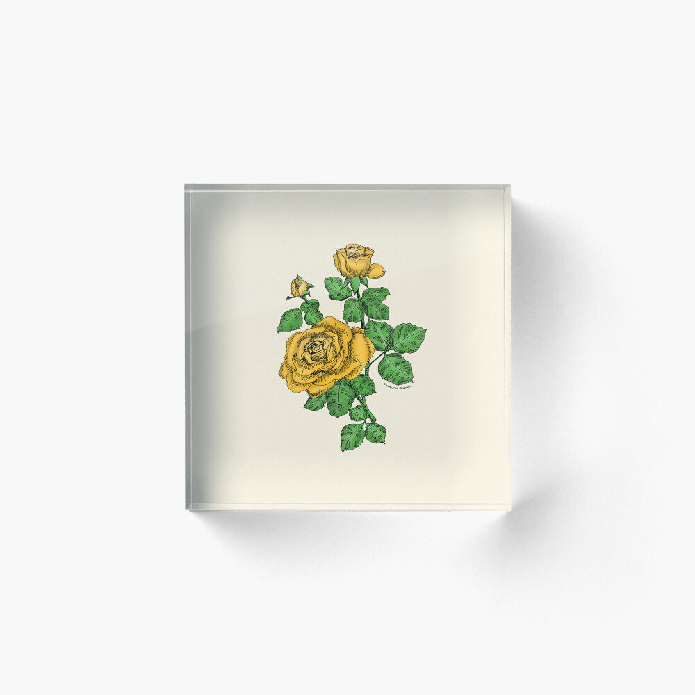 high-centered double yellow rose print on acrylic block