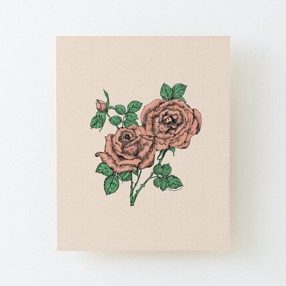 high-centered full apricot rose print on wood mounted print