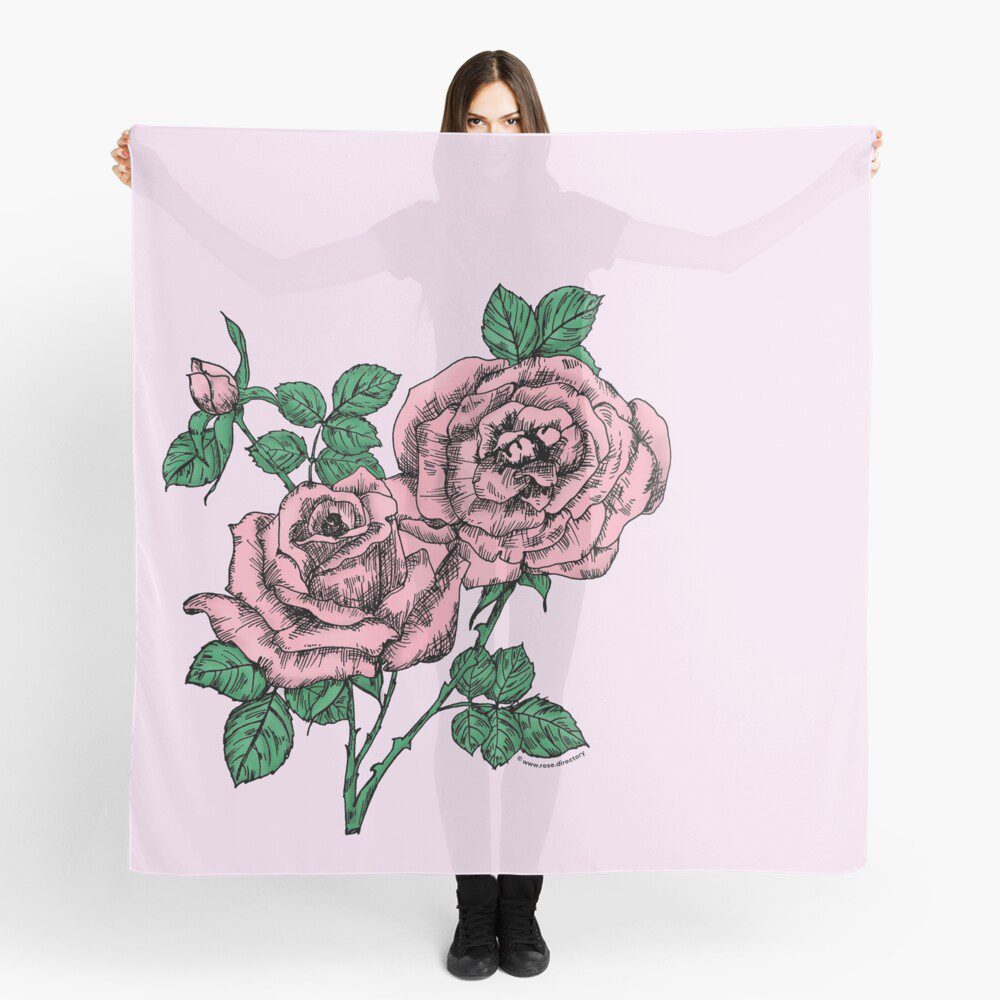 high-centered full light pink rose print on scarf