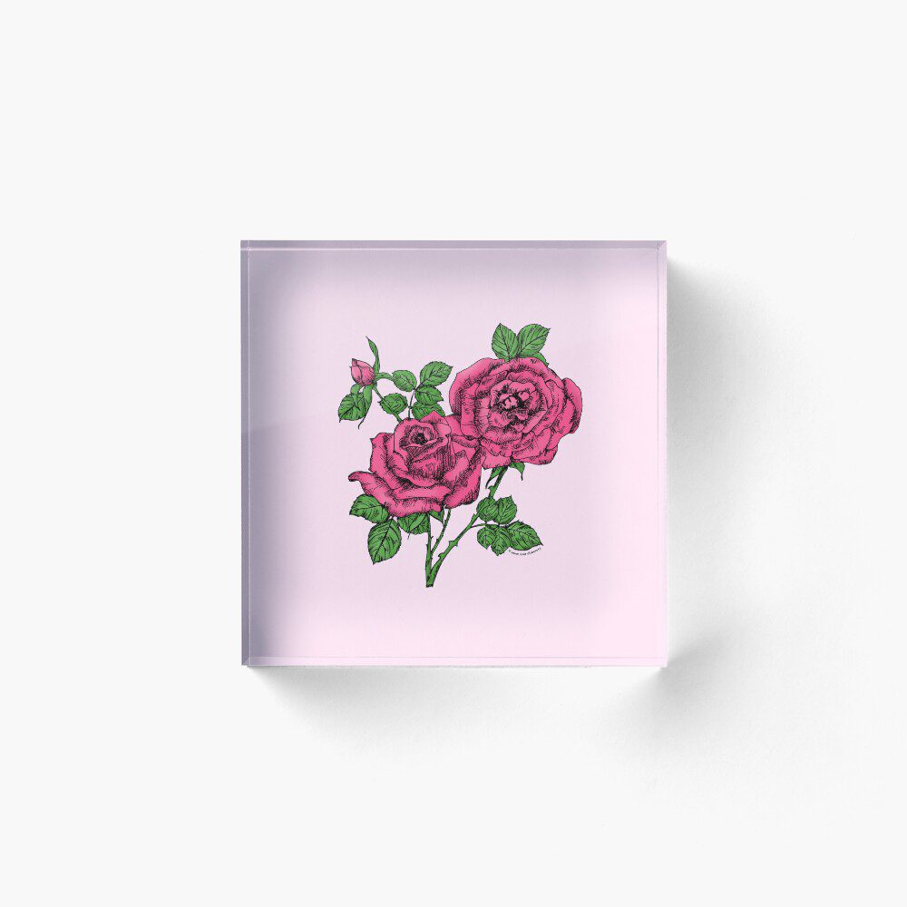 high-centered full mid pink rose print on acrylic block