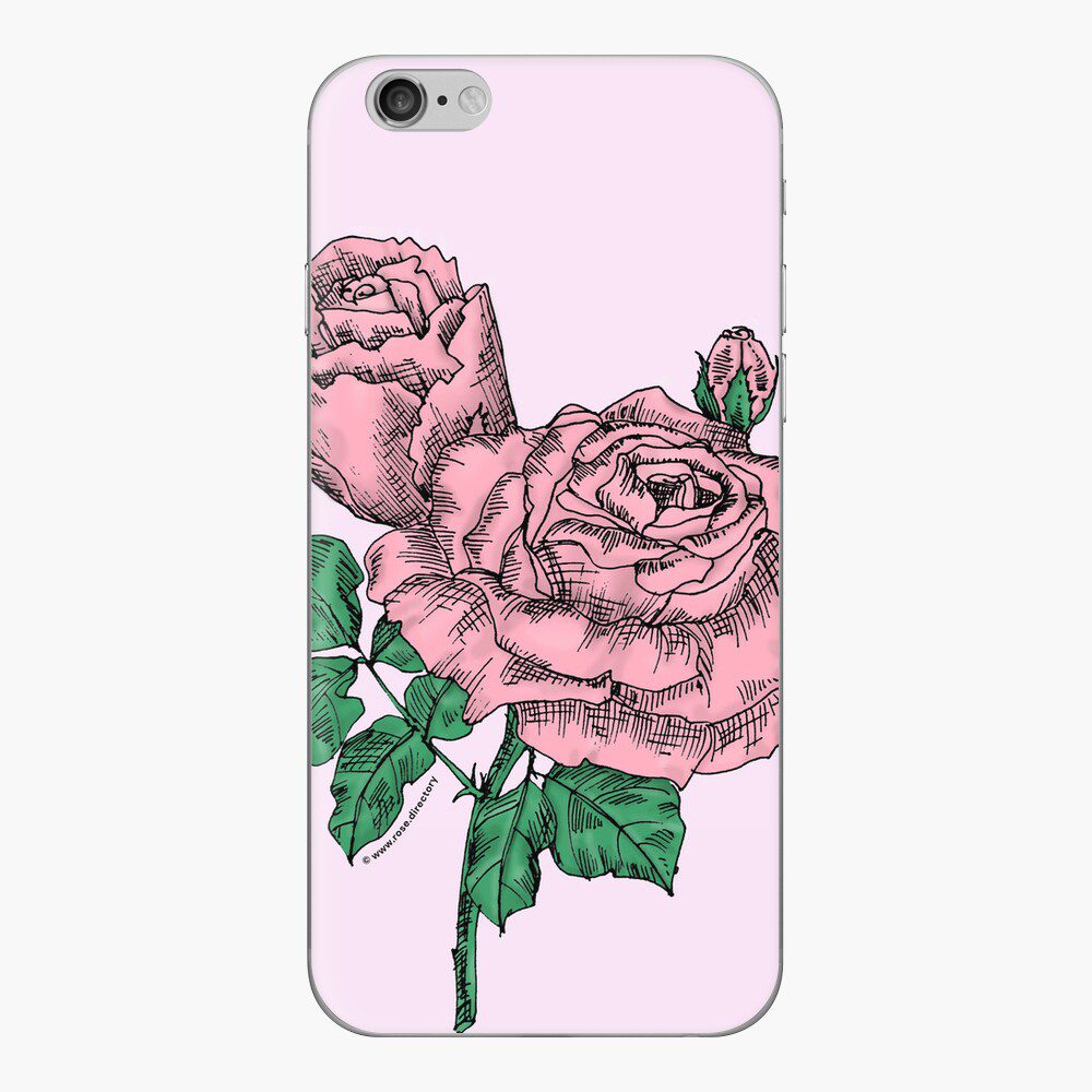 high-centered very full light pink rose print on iPhone skin