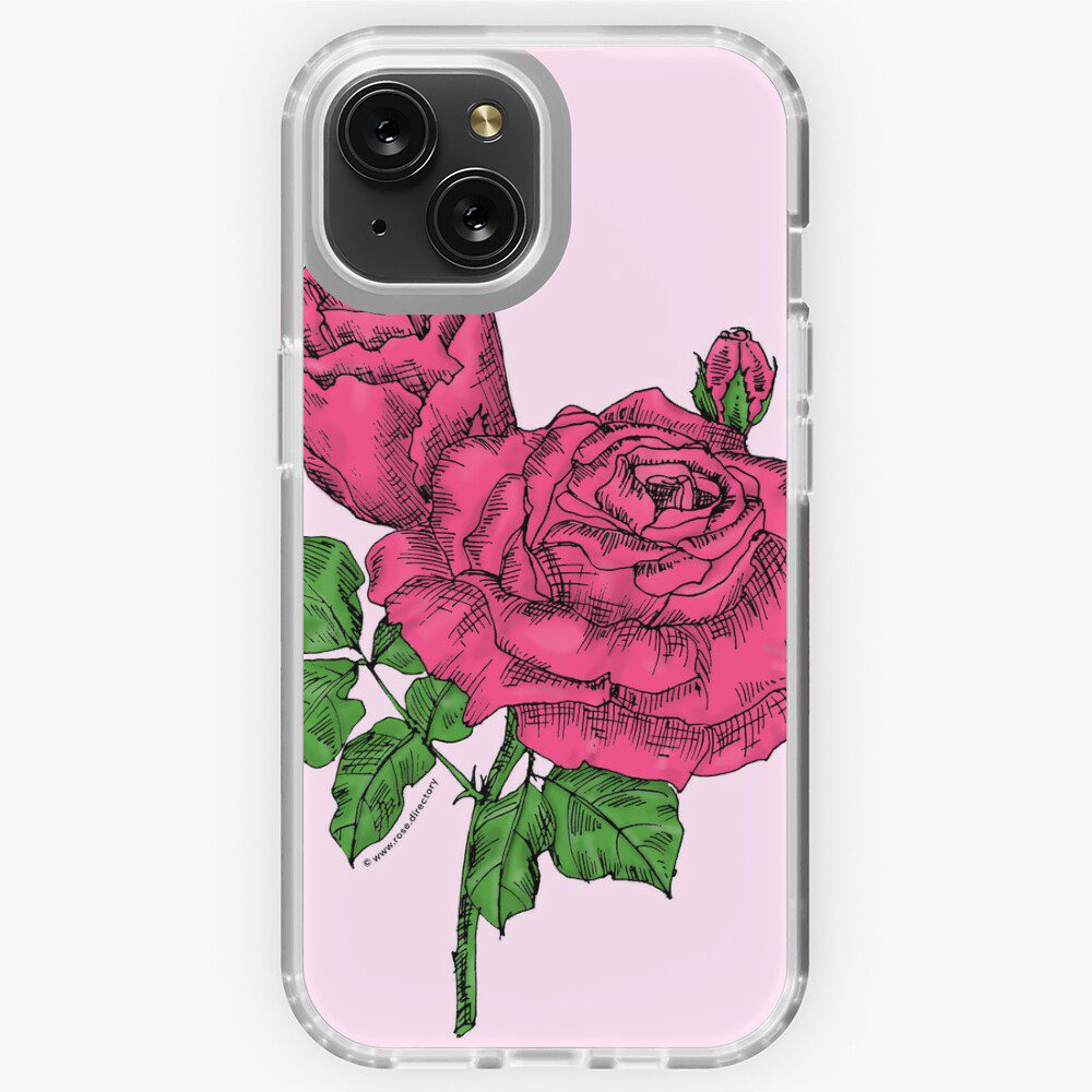 high-centered very full mid pink rose print on iPhone soft case