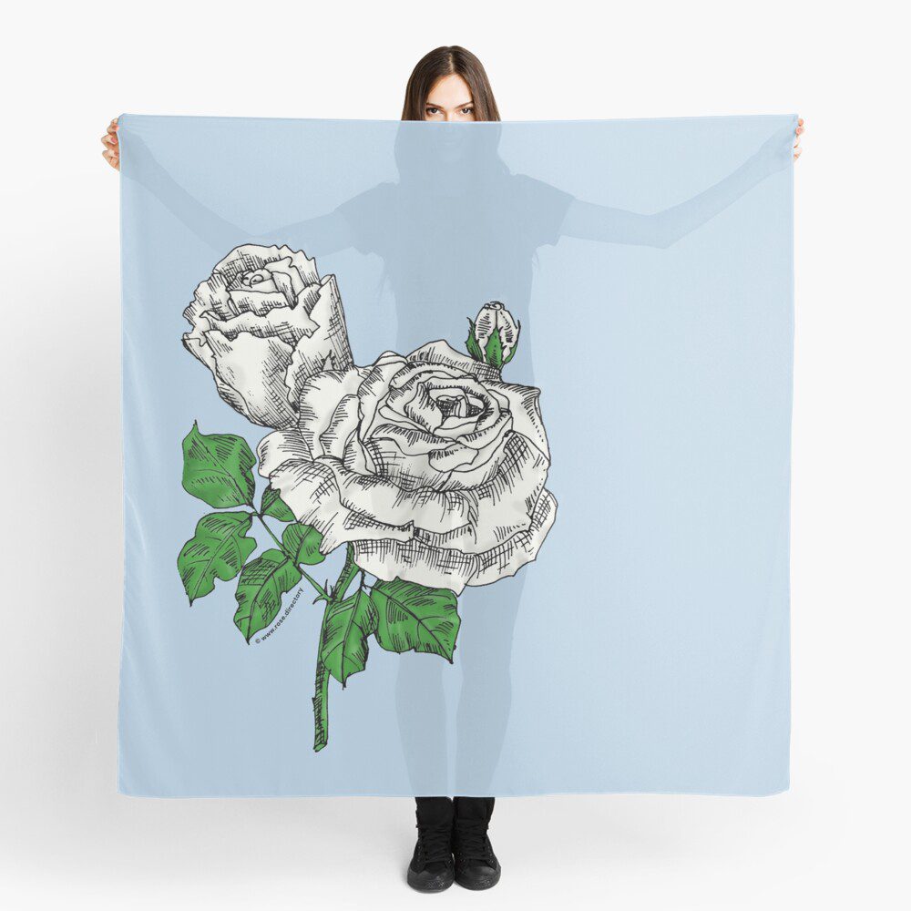 high-centered very full white rose print on scarf