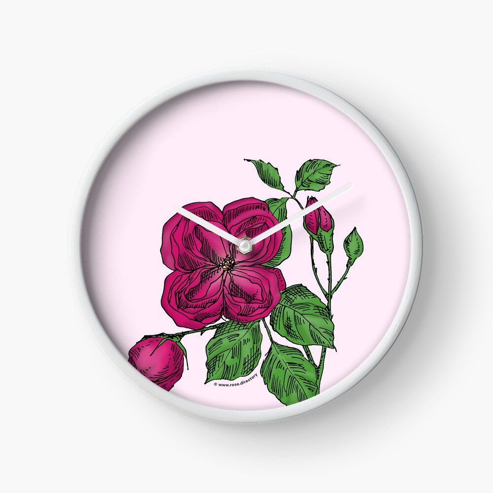 quartered double deep pink rose print on clock