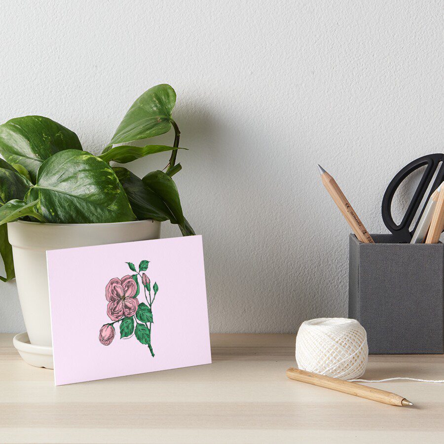 quartered double light pink rose print on art board print