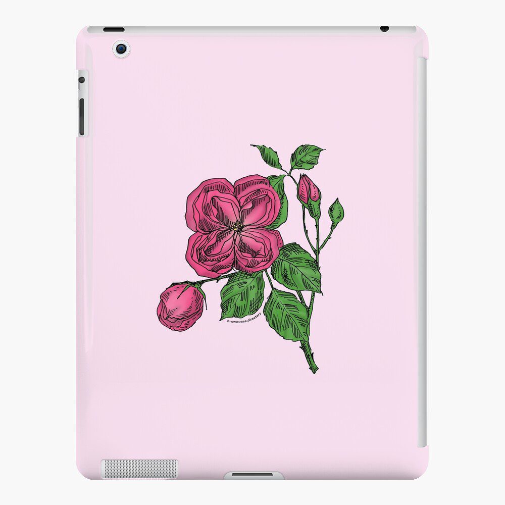 quartered double mid pink rose print on iPad snap case