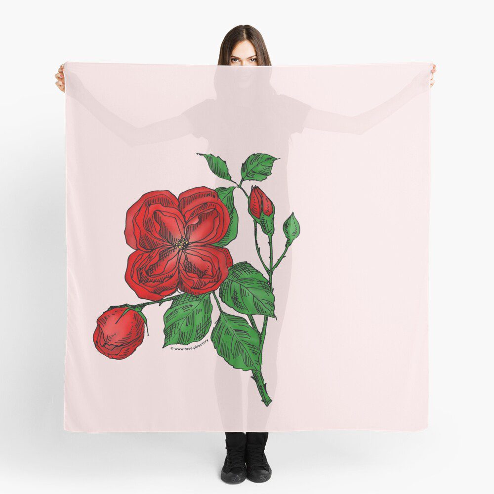 quartered double bright red rose print on scarf