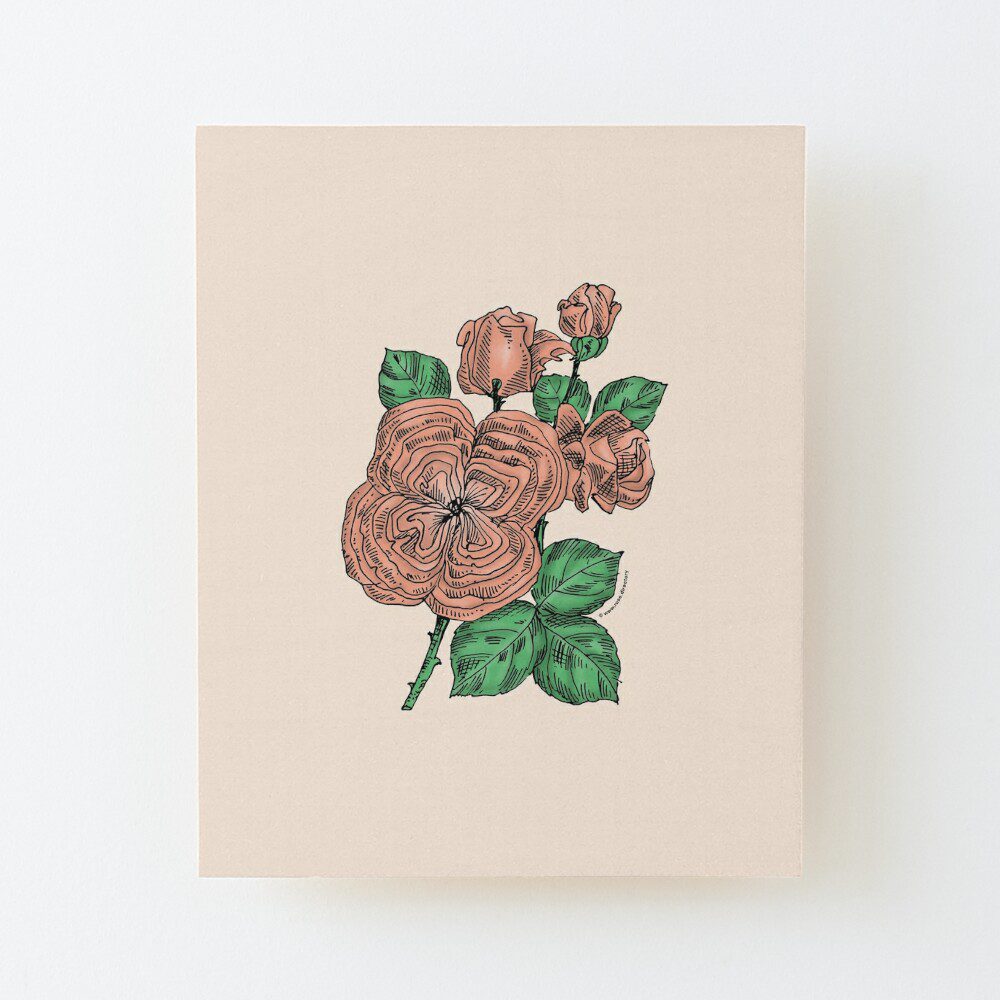 quartered full apricot rose print on wood mounted print