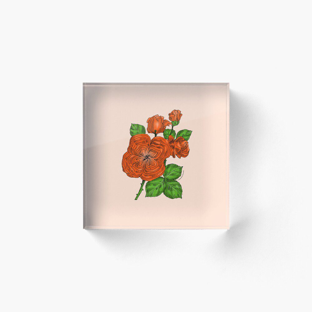 quartered full orange rose print on acrylic block