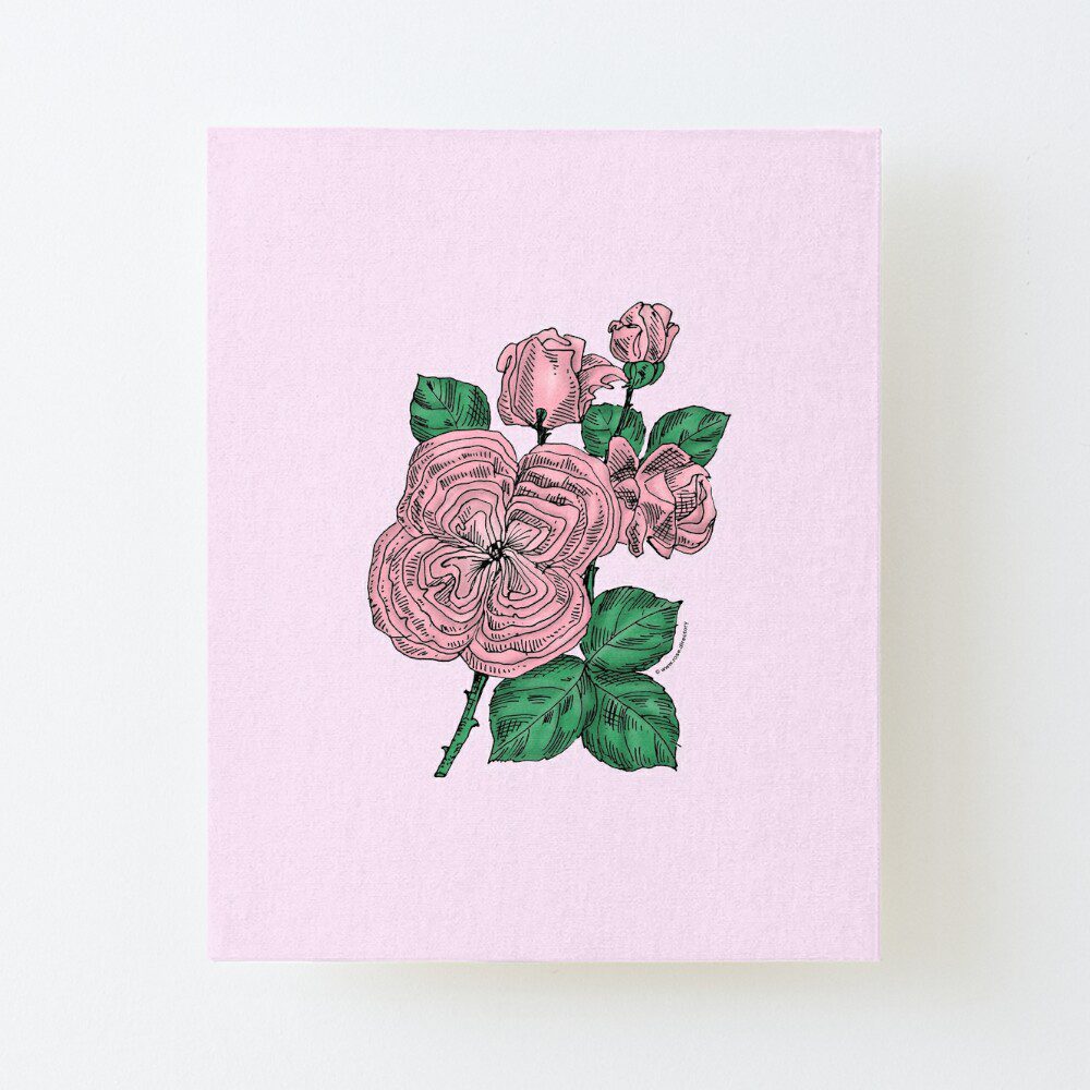 quartered full light pink rose print on canvas mounted print