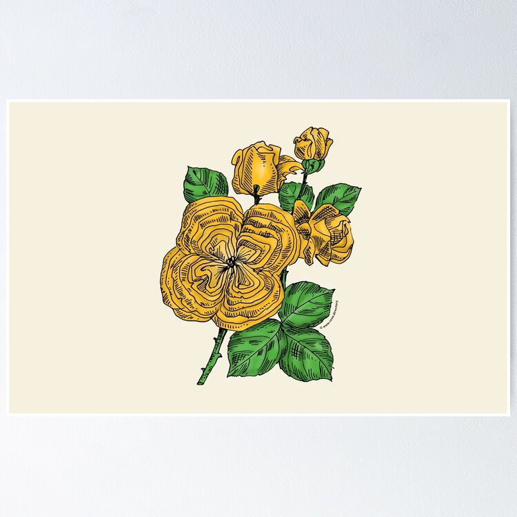 quartered full yellow rose print on poster