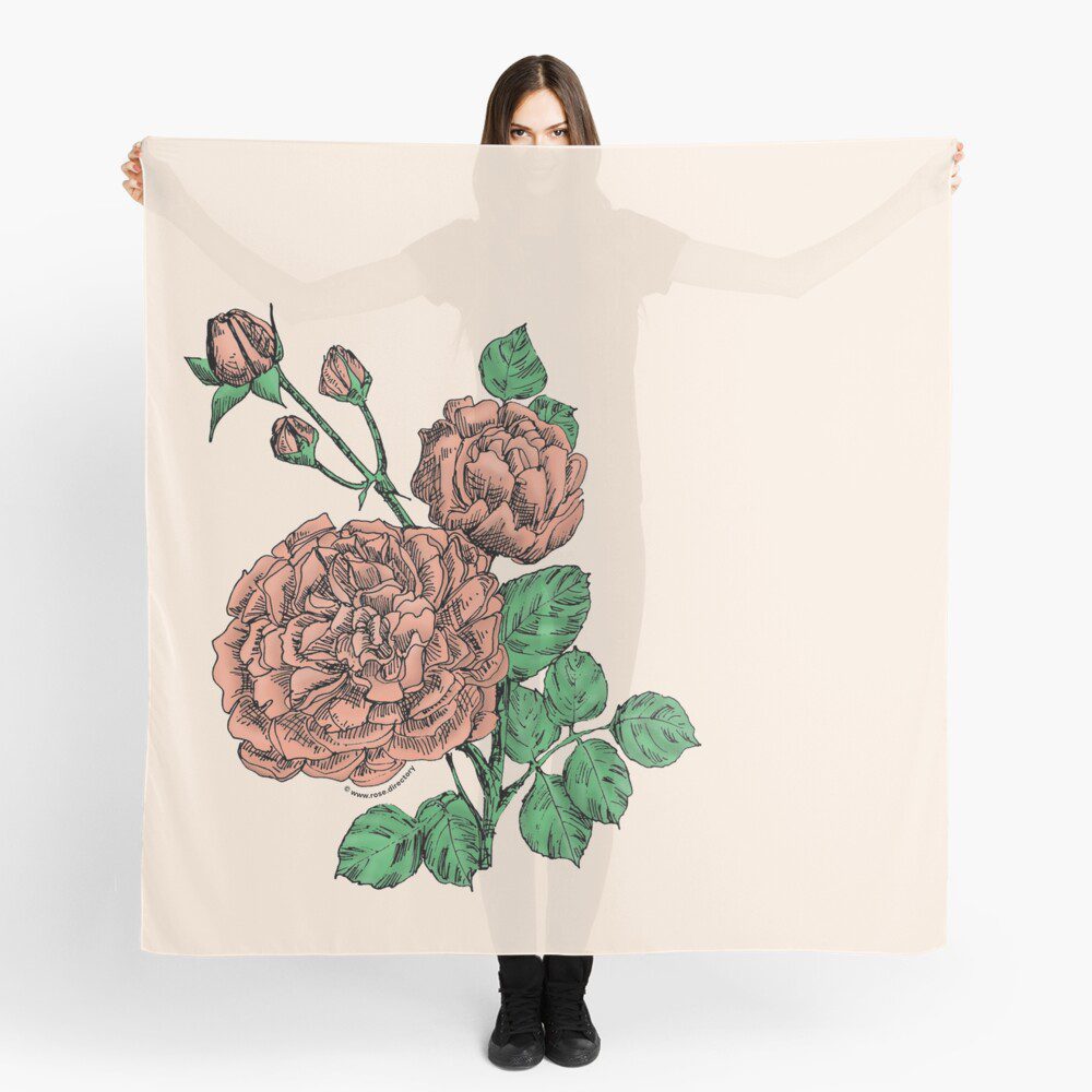 quartered very full apricot rose print on scarf