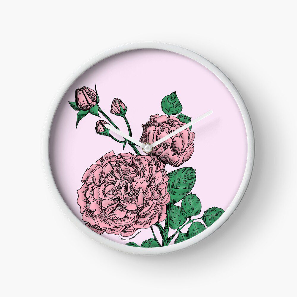 quartered very full light pink rose print on clock