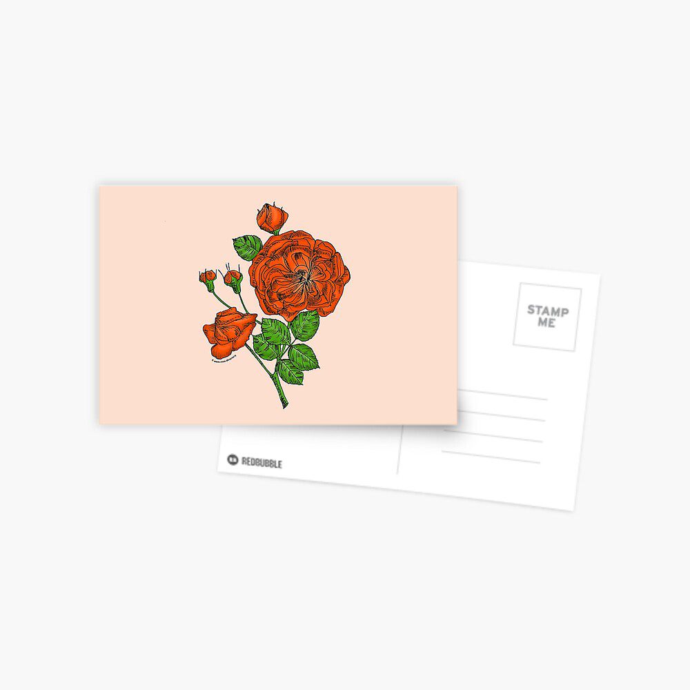 rosette semi-double orange rose print on postcard