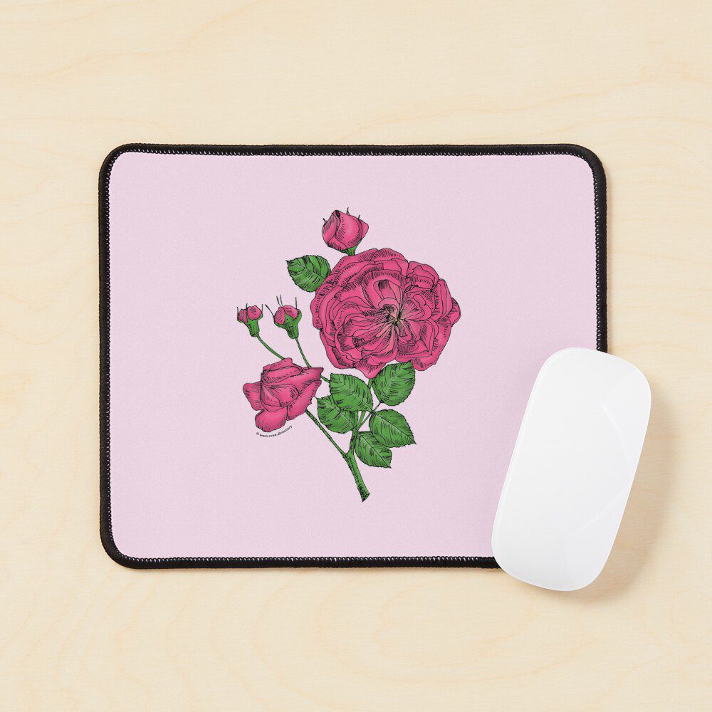 rosette semi-double mid pink rose print on mouse pad